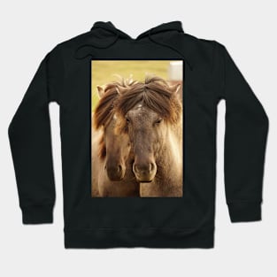 Sister horses Hoodie